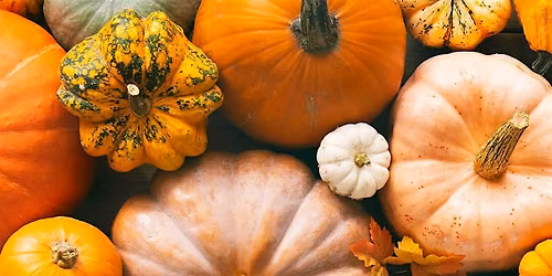 Class: Using the Whole Pumpkin