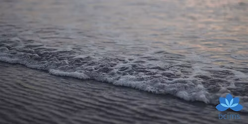 Insight Meditation Retreat with Rachel Lewis and Vance Pryor [Jun26riv]