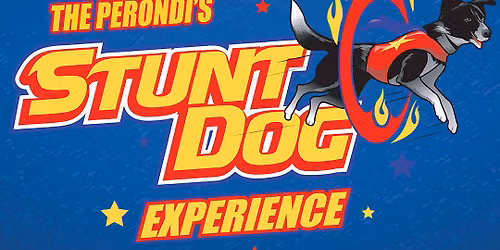 Chris Perondi's Stunt Dog Experience