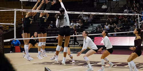 Southern Miss Golden Eagles Women's Basketball vs. James Madison Dukes