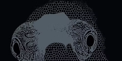 SMOKING PISTOLS (Post punk rock - Crest, FR)