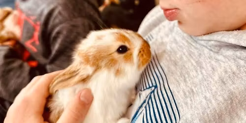 Kelley\u2019s Farmstead Baby Animal Barn 