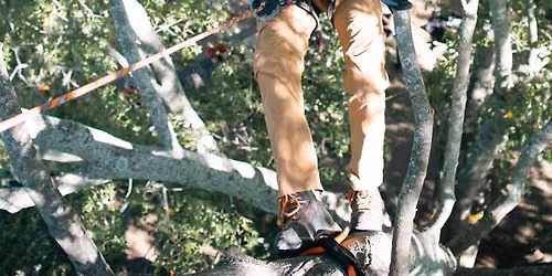 2026 Kentucky Tree Climbing Championship