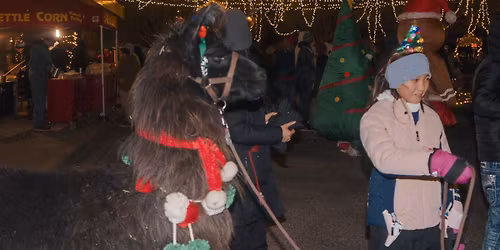 Artisan Under Lights