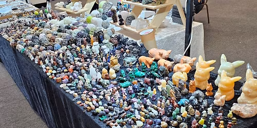 Newark Show, NG24 2NY