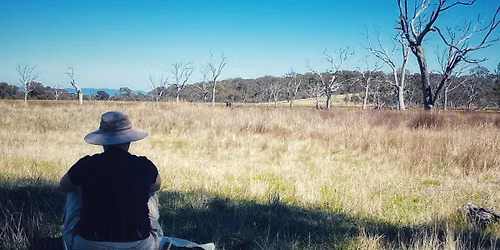 Nature therapy experience