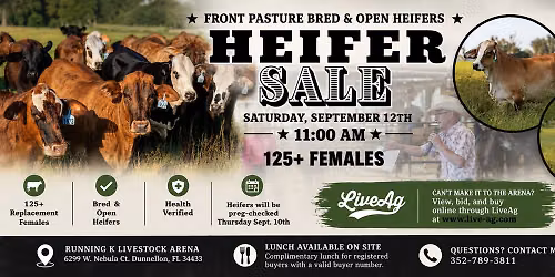 Quality Heifer Sale