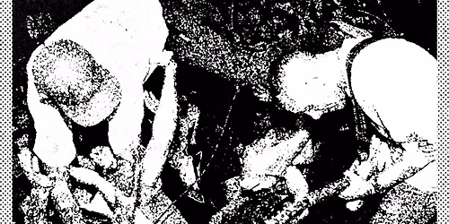 HIGH VIS + TRUE COLORS + SUPPORTS \/\/ ZAPPA