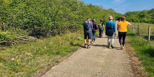 Forest Bathing 'Resting in Nature\u2019s Embrace Walk' - College Lake Sun 19July