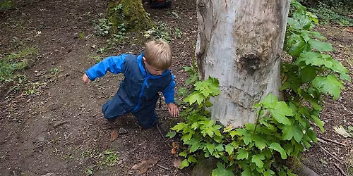 NWT Sweet Briar Marshes: Treemendous trees half-term family event