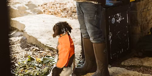 The Falconry Experience