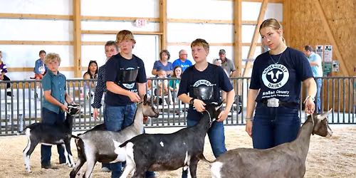 Nicollet County 4-H Goat Show