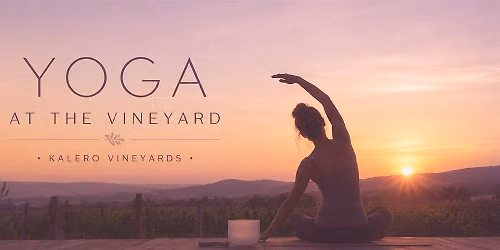 Sunset Yoga at the Vineyard