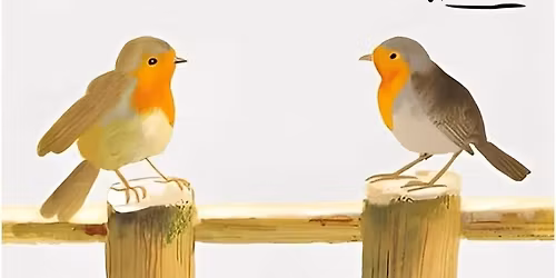 Book club Swirl \u201cThe Correspondents\u201d