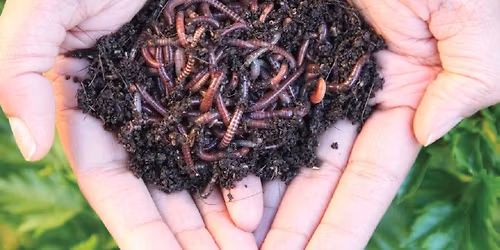 Wonderful World of Tiger worms Kids Workshop