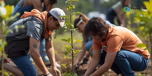 Tree Planting Morning at Knowle Park