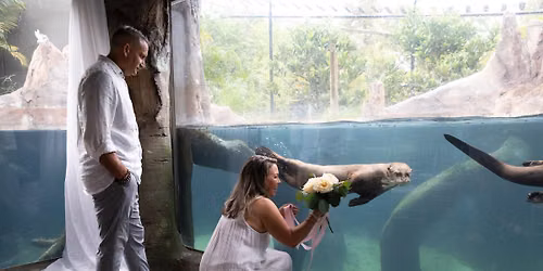 Wildly In Love Wedding Expo