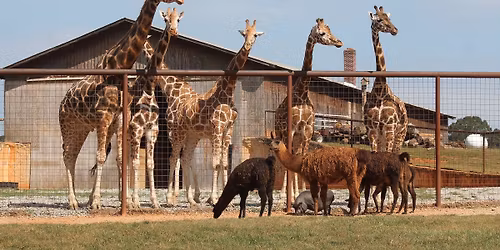 Easter Eggstravaganza Day #1