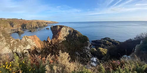 Mindfulness Retreat for Wellness