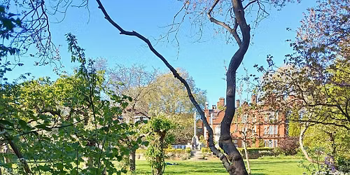NeSST Presents: The Ash Tree