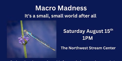 Macro Madness \u2013 It's a small, small world after all