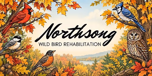 NWBR Fall Fridays: October 2