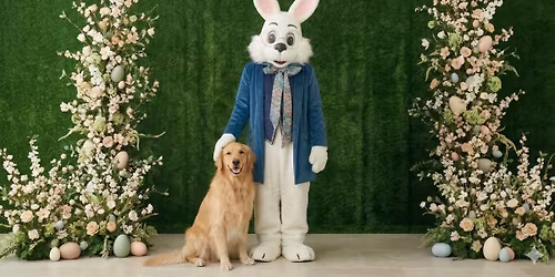 Pet Photos with Bunny