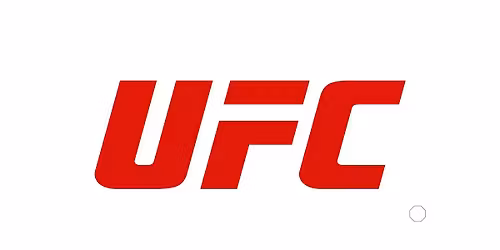 UFC 322