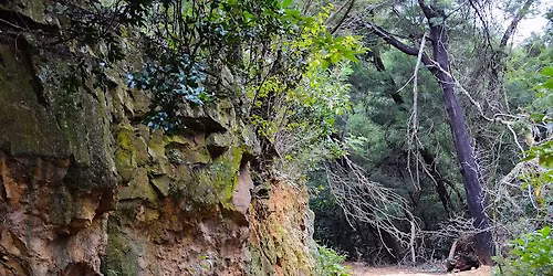 Hedianga Farm DAY HIKE