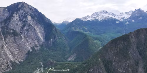 LTC 50th Anniversary 