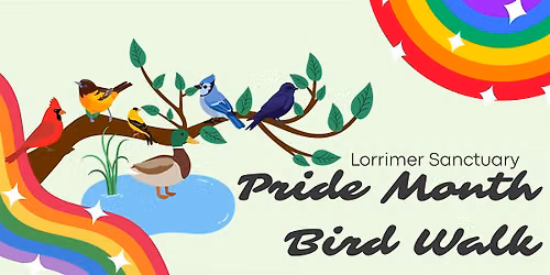 Flock Together! A Pride Month Bird Walk