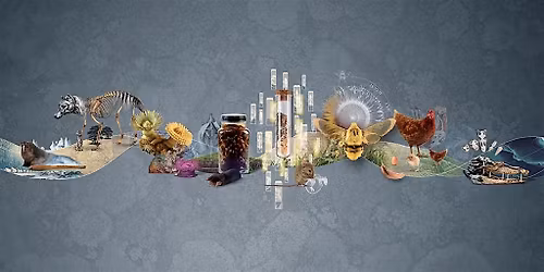 Weird and Wonderful: Scavenger Hunt