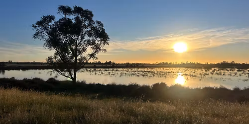 Wetland Frog Adventure by Melbourne Water - Waterwatch