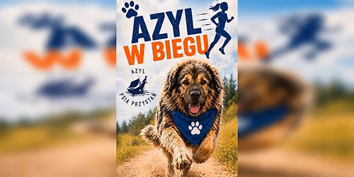 Azyl w biegu!