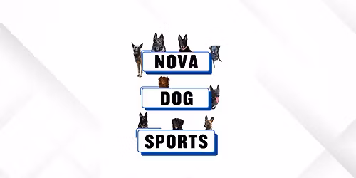 May UpDog Challenge!