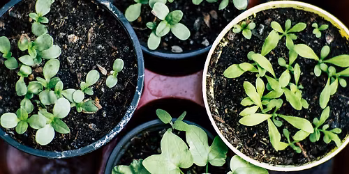 Heritage Garden Speaker Series