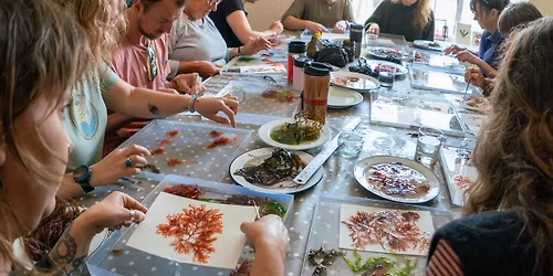 Seaweed Pressing Workshop with Molly Macleod