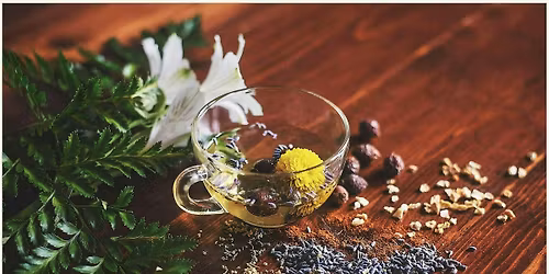 Remedies for Rejuvenation