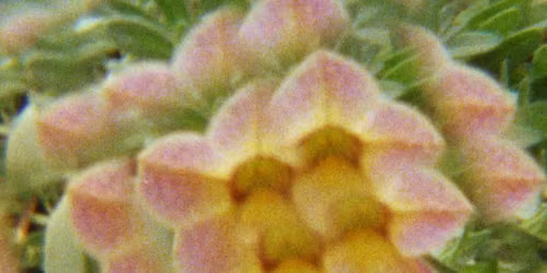 Soir\u00e9e avec La Lumi\u00e8re Collective