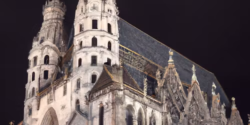 The Manhunt by Stephansdom: Interactive Mystery Hunt