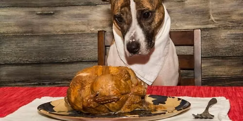 Our Fall Meat Raffle