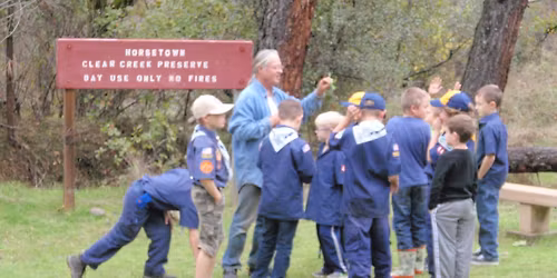 NATIVE PLANT IDENTIFICATION AND USES