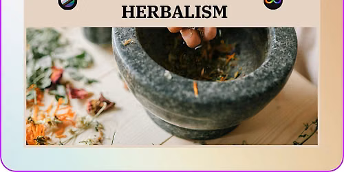 Queer Garden Network: An Introduction To Herbalism