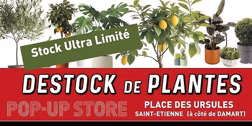 DESTOCK PLANTES Saint\u00e9 \ud83e\udeb4\ud83c\udf4b
