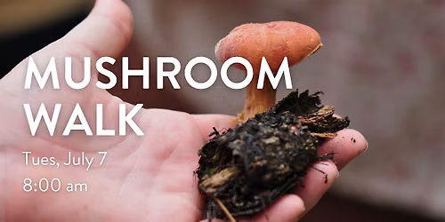 Mushroom Walk