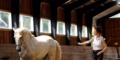  Ellen Sauer Foredrag - styrk din hest med dressur fra jorden