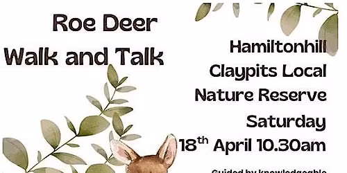 Roe Deer: Walk and Talk