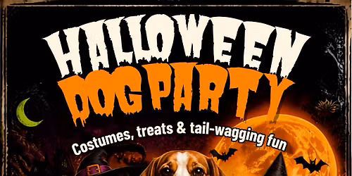 Halloween Dog Party in Huber
