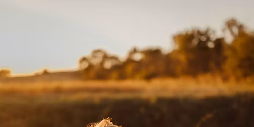 Kylie's Graduation Brunch