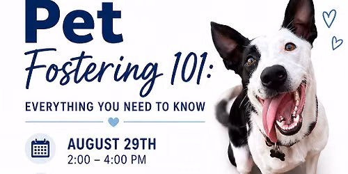 FOSTER 101